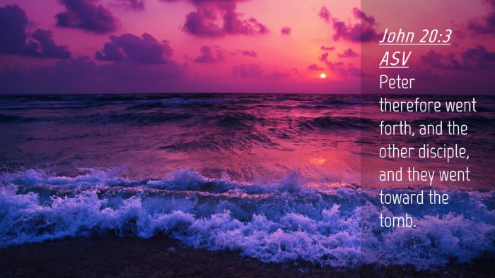 Picture 04 - John 20:3 ASV Desktop Wallpaper - Peter therefore went forth, and the other - Desktop Bible Verse Wallpaper