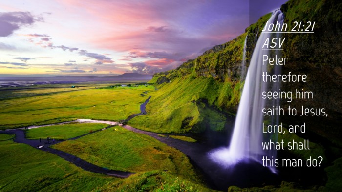 Picture 04 - John 21:21 ASV Desktop Wallpaper - Peter therefore seeing him saith to Jesus, Lord, - Desktop Bible Verse Wallpaper