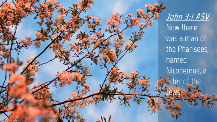 Picture 04 - John 3:1 ASV Desktop Wallpaper - Now there was a man of the Pharisees, named - Desktop Bible Verse Wallpaper