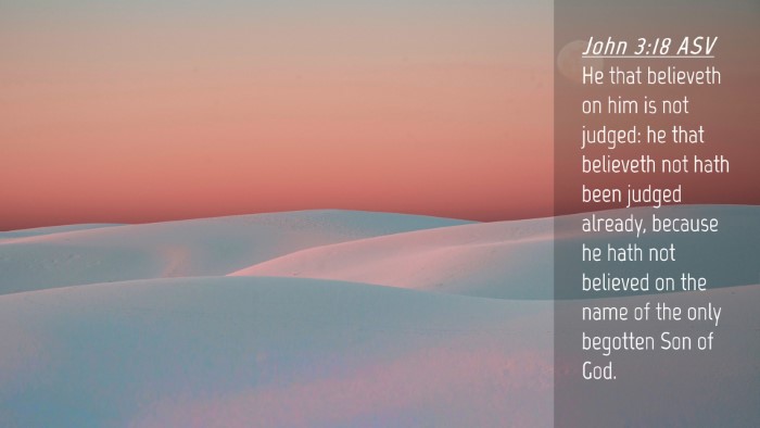 Picture 04 - John 3:18 ASV Desktop Wallpaper - He that believeth on him is not judged: he that - Desktop Bible Verse Wallpaper
