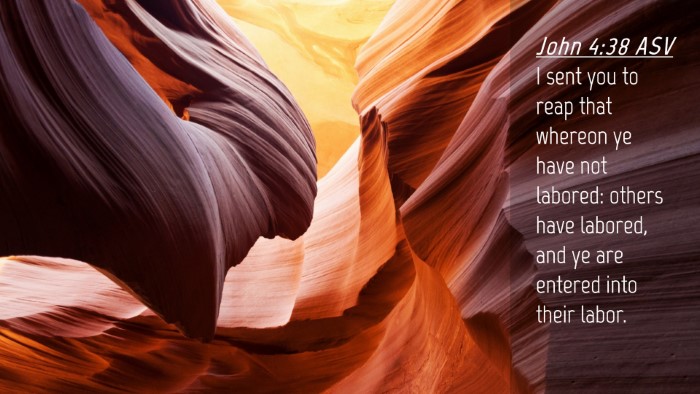 Picture 04 - John 4:38 ASV Desktop Wallpaper - I sent you to reap that whereon ye have not - Desktop Bible Verse Wallpaper