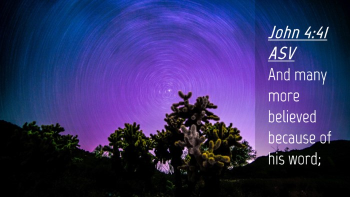 Picture 04 - John 4:41 ASV Desktop Wallpaper - And many more believed because of his - Desktop Bible Verse Wallpaper
