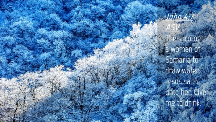 Picture 04 - John 4:7 ASV Desktop Wallpaper - There cometh a woman of Samaria to draw water: - Desktop Bible Verse Wallpaper