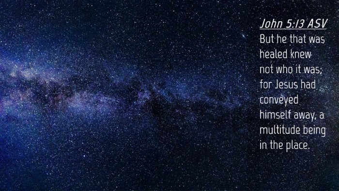 Picture 04 - John 5:13 ASV Desktop Wallpaper - But he that was healed knew not who it was; for - Desktop Bible Verse Wallpaper