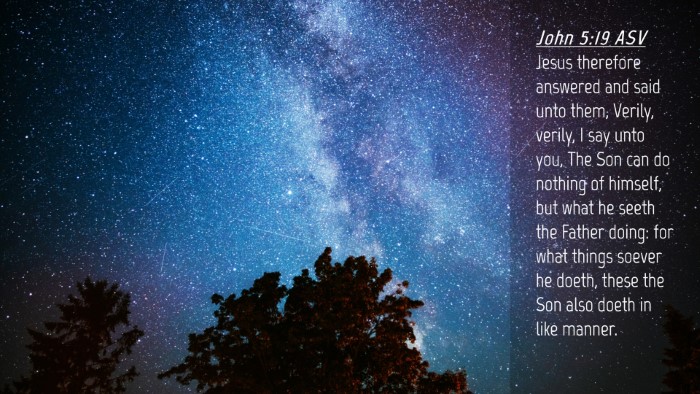 Picture 04 - John 5:19 ASV Desktop Wallpaper - Jesus therefore answered and said unto them, - Desktop Bible Verse Wallpaper