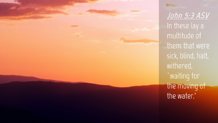 Picture 04 - John 5:3 ASV Desktop Wallpaper - In these lay a multitude of them that were sick, - Desktop Bible Verse Wallpaper