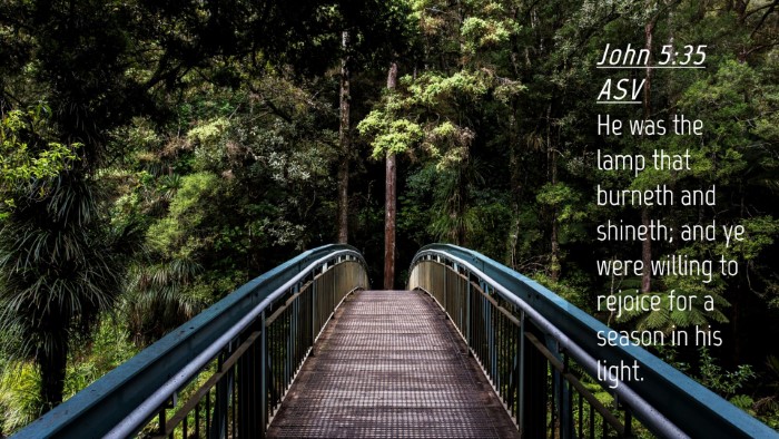 Picture 04 - John 5:35 ASV Desktop Wallpaper - He was the lamp that burneth and shineth; and ye - Desktop Bible Verse Wallpaper