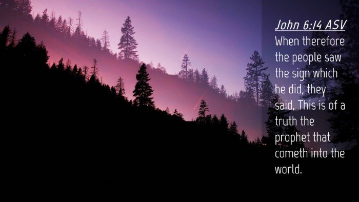 Picture 04 - John 6:14 ASV Desktop Wallpaper - When therefore the people saw the sign which he - Desktop Bible Verse Wallpaper