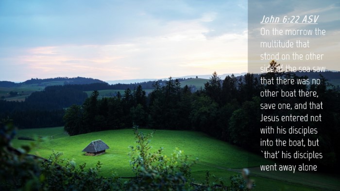 Picture 04 - John 6:22 ASV Desktop Wallpaper - On the morrow the multitude that stood on the - Desktop Bible Verse Wallpaper