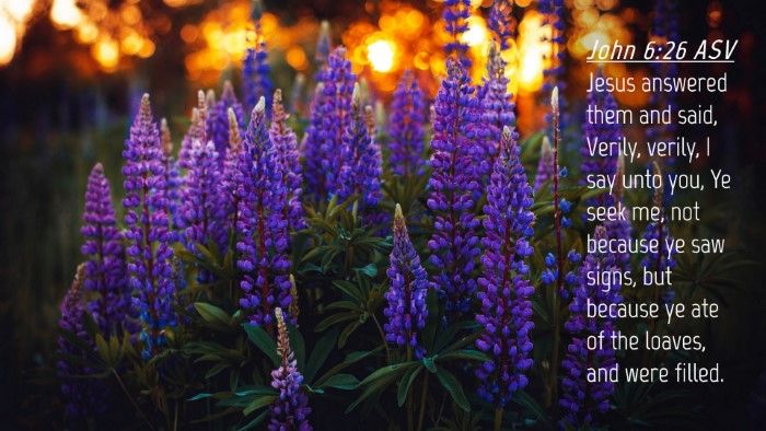 Picture 04 - John 6:26 ASV Desktop Wallpaper - Jesus answered them and said, Verily, verily, I - Desktop Bible Verse Wallpaper