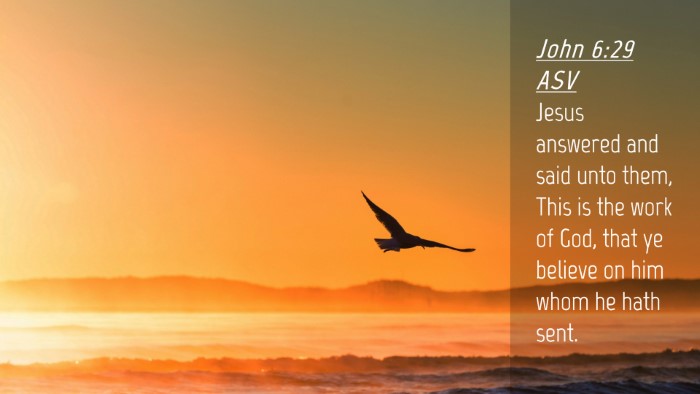 Picture 04 - John 6:29 ASV Desktop Wallpaper - Jesus answered and said unto them, This is the - Desktop Bible Verse Wallpaper