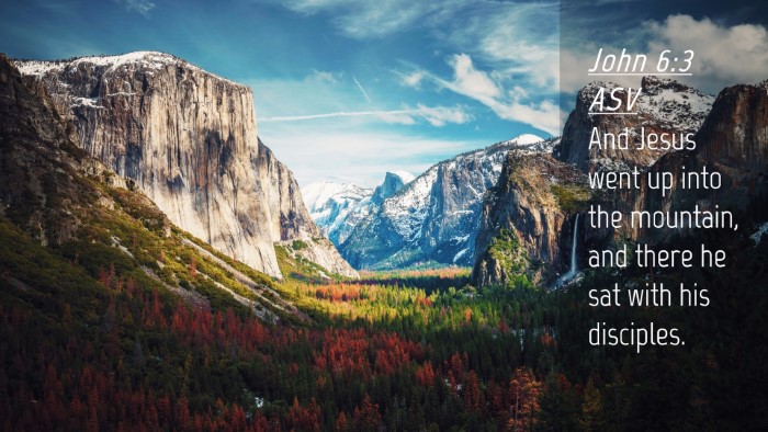 Picture 04 - John 6:3 ASV Desktop Wallpaper - And Jesus went up into the mountain, and there he - Desktop Bible Verse Wallpaper
