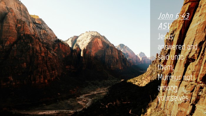 Picture 04 - John 6:43 ASV Desktop Wallpaper - Jesus answered and said unto them, Murmur not - Desktop Bible Verse Wallpaper