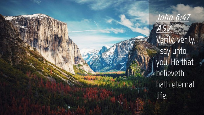 Picture 04 - John 6:47 ASV Desktop Wallpaper - Verily, verily, I say unto you, He that believeth - Desktop Bible Verse Wallpaper