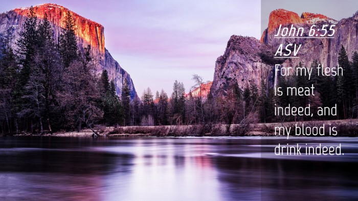 Picture 04 - John 6:55 ASV Desktop Wallpaper - For my flesh is meat indeed, and my blood is - Desktop Bible Verse Wallpaper