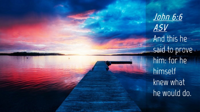 Picture 04 - John 6:6 ASV Desktop Wallpaper - And this he said to prove him: for he himself - Desktop Bible Verse Wallpaper