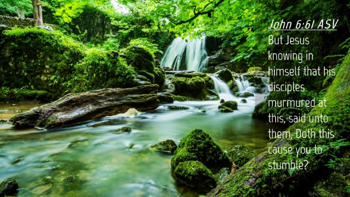 Picture 04 - John 6:61 ASV Desktop Wallpaper - But Jesus knowing in himself that his disciples - Desktop Bible Verse Wallpaper