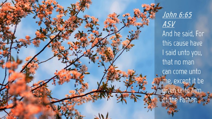 Picture 04 - John 6:65 ASV Desktop Wallpaper - And he said, For this cause have I said unto you, - Desktop Bible Verse Wallpaper