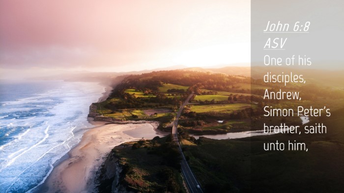 Picture 04 - John 6:8 ASV Desktop Wallpaper - One of his disciples, Andrew, Simon Peter's - Desktop Bible Verse Wallpaper