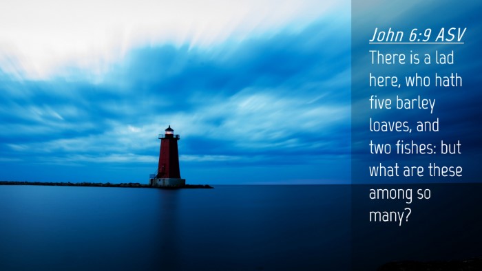 Picture 04 - John 6:9 ASV Desktop Wallpaper - There is a lad here, who hath five barley loaves, - Desktop Bible Verse Wallpaper