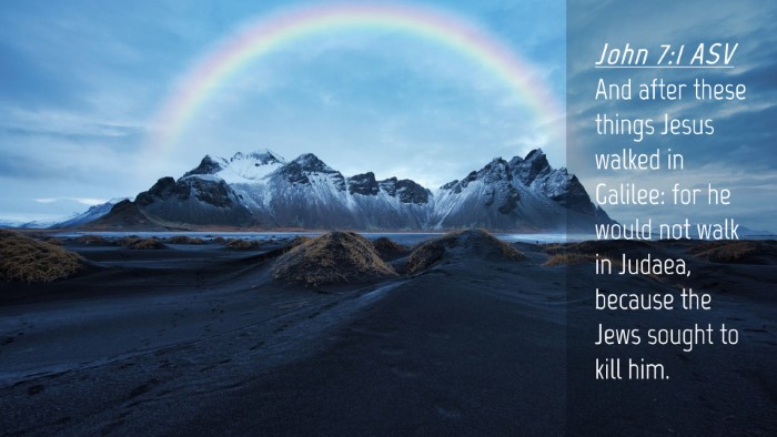 Picture 04 - John 7:1 ASV Desktop Wallpaper - And after these things Jesus walked in Galilee: - Desktop Bible Verse Wallpaper