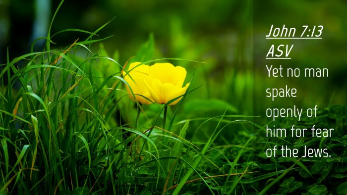 Picture 04 - John 7:13 ASV Desktop Wallpaper - Yet no man spake openly of him for fear of the - Desktop Bible Verse Wallpaper