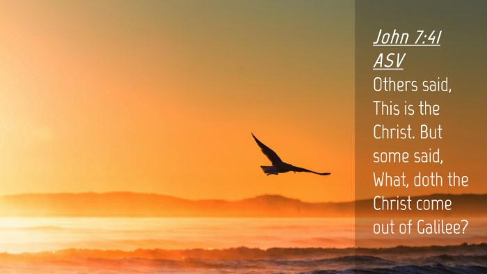 Picture 04 - John 7:41 ASV Desktop Wallpaper - Others said, This is the Christ. But some said, - Desktop Bible Verse Wallpaper
