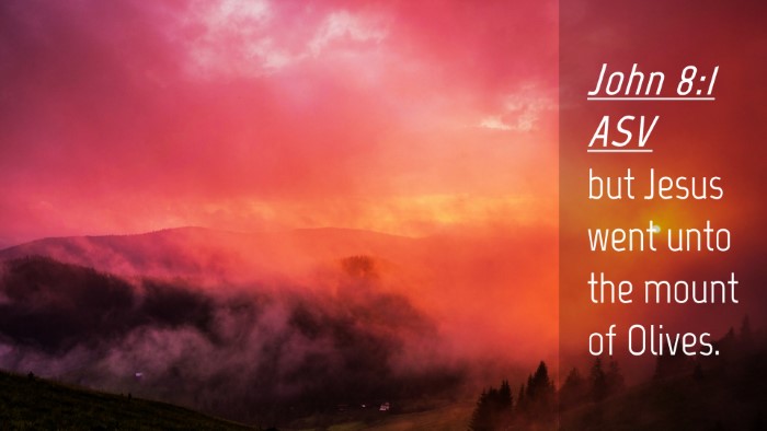 Picture 04 - John 8:1 ASV Desktop Wallpaper - but Jesus went unto the mount of - Desktop Bible Verse Wallpaper