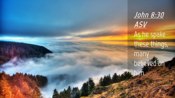 Picture 04 - John 8:30 ASV Desktop Wallpaper - As he spake these things, many believed on - Desktop Bible Verse Wallpaper