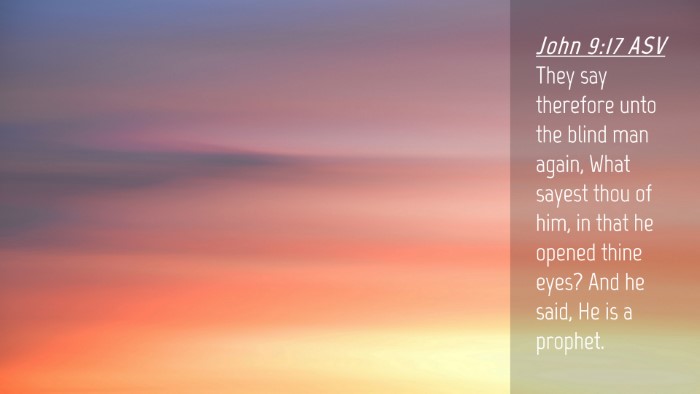 Picture 04 - John 9:17 ASV Desktop Wallpaper - They say therefore unto the blind man again, What - Desktop Bible Verse Wallpaper