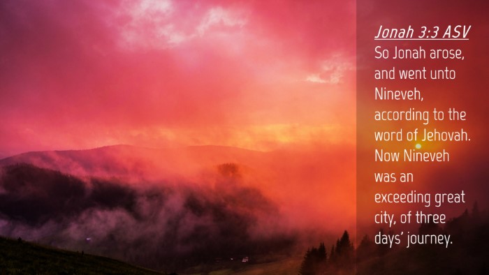 Picture 04 - Jonah 3:3 ASV Desktop Wallpaper - So Jonah arose, and went unto Nineveh, according - Desktop Bible Verse Wallpaper