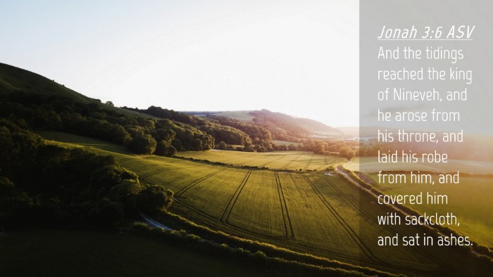 Picture 04 - Jonah 3:6 ASV Desktop Wallpaper - And the tidings reached the king of Nineveh, and - Desktop Bible Verse Wallpaper