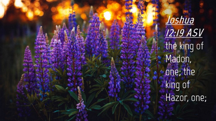 Picture 04 - Joshua 12:19 ASV Desktop Wallpaper - the king of Madon, one; the king of Hazor, - Desktop Bible Verse Wallpaper
