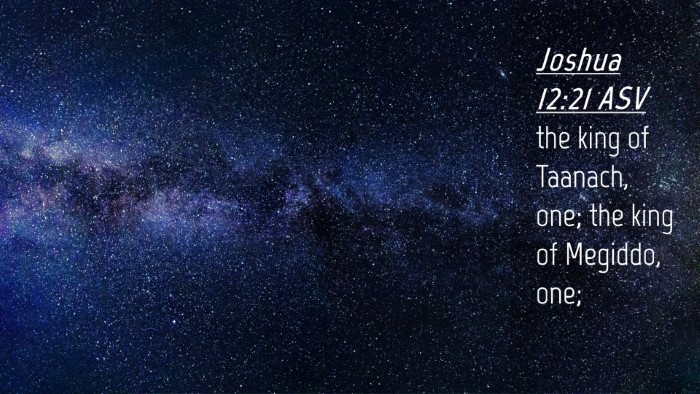 Picture 04 - Joshua 12:21 ASV Desktop Wallpaper - the king of Taanach, one; the king of Megiddo, - Desktop Bible Verse Wallpaper
