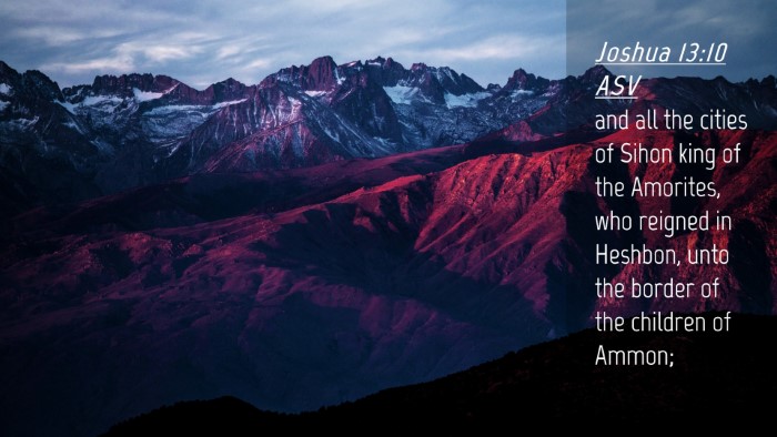 Picture 04 - Joshua 13:10 ASV Desktop Wallpaper - and all the cities of Sihon king of the Amorites, - Desktop Bible Verse Wallpaper