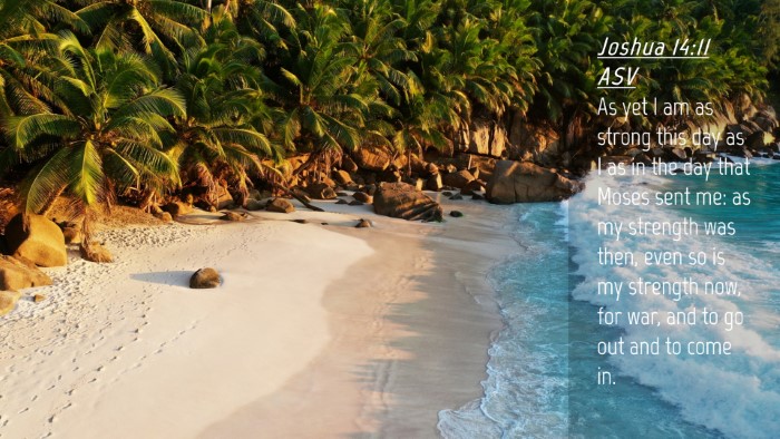 Picture 04 - Joshua 14:11 ASV Desktop Wallpaper - As yet I am as strong this day as I as in the day - Desktop Bible Verse Wallpaper