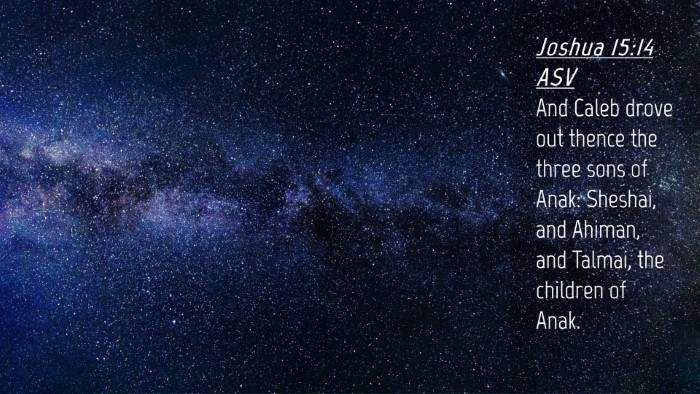Picture 04 - Joshua 15:14 ASV Desktop Wallpaper - And Caleb drove out thence the three sons of - Desktop Bible Verse Wallpaper