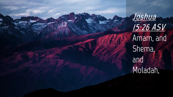 Picture 04 - Joshua 15:26 ASV Desktop Wallpaper - Amam, and Shema, and - Desktop Bible Verse Wallpaper
