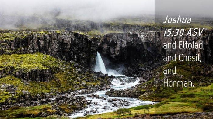 Picture 04 - Joshua 15:30 ASV Desktop Wallpaper - and Eltolad, and Chesil, and - Desktop Bible Verse Wallpaper