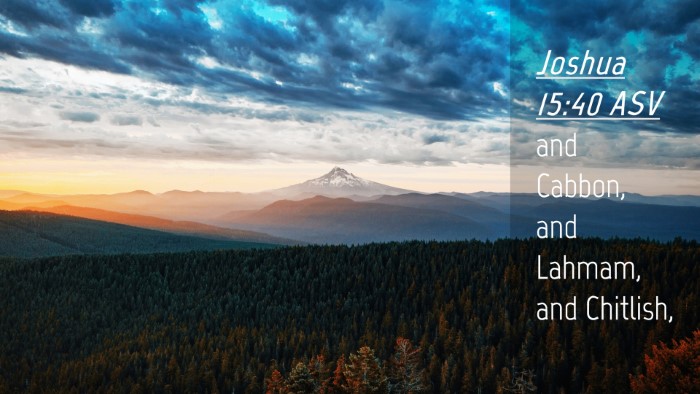 Picture 04 - Joshua 15:40 ASV Desktop Wallpaper - and Cabbon, and Lahmam, and - Desktop Bible Verse Wallpaper