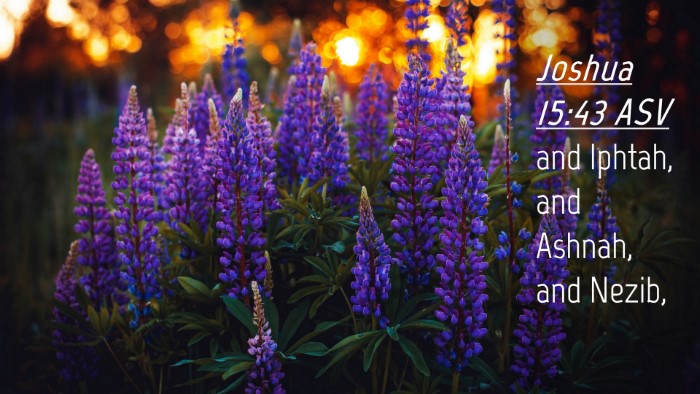 Picture 04 - Joshua 15:43 ASV Desktop Wallpaper - and Iphtah, and Ashnah, and - Desktop Bible Verse Wallpaper
