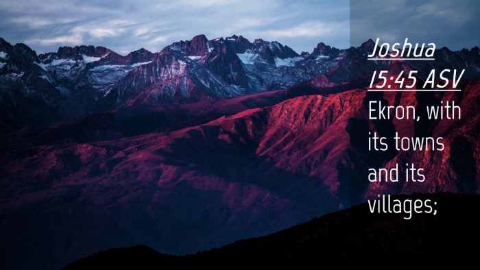 Picture 04 - Joshua 15:45 ASV Desktop Wallpaper - Ekron, with its towns and its - Desktop Bible Verse Wallpaper