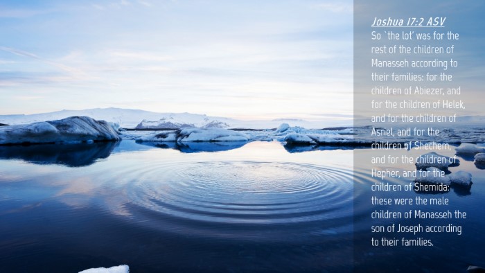Picture 04 - Joshua 17:2 ASV Desktop Wallpaper - So `the lot' was for the rest of the children of - Desktop Bible Verse Wallpaper