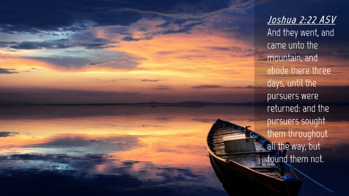 Picture 04 - Joshua 2:22 ASV Desktop Wallpaper - And they went, and came unto the mountain, and - Desktop Bible Verse Wallpaper