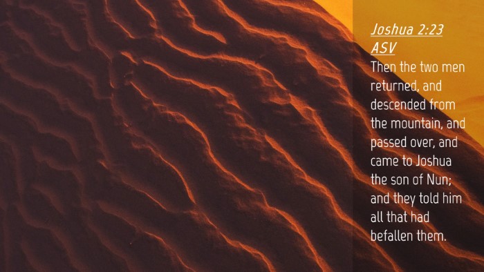 Picture 04 - Joshua 2:23 ASV Desktop Wallpaper - Then the two men returned, and descended from the - Desktop Bible Verse Wallpaper