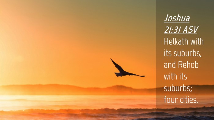 Picture 04 - Joshua 21:31 ASV Desktop Wallpaper - Helkath with its suburbs, and Rehob with its - Desktop Bible Verse Wallpaper