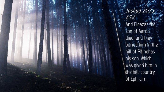Picture 04 - Joshua 24:33 ASV Desktop Wallpaper - And Eleazar the son of Aaron died; and they - Desktop Bible Verse Wallpaper