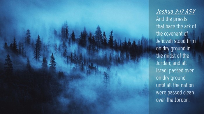 Picture 04 - Joshua 3:17 ASV Desktop Wallpaper - And the priests that bare the ark of the covenant - Desktop Bible Verse Wallpaper
