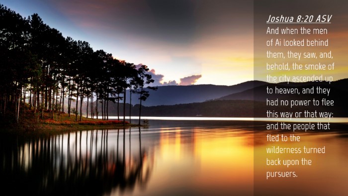 Picture 04 - Joshua 8:20 ASV Desktop Wallpaper - And when the men of Ai looked behind them, they - Desktop Bible Verse Wallpaper