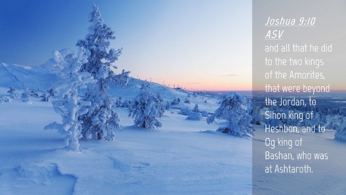 Picture 04 - Joshua 9:10 ASV Desktop Wallpaper - and all that he did to the two kings of the - Desktop Bible Verse Wallpaper